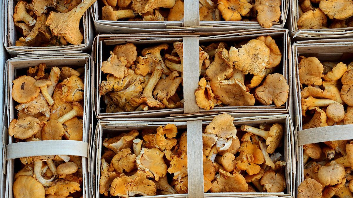 Na widok cen sezonowego menu klientka uciekła z lokalu