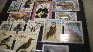 Znaczki pocztowe z PRL za nawet 500 złotych. Takie egzemplarze są poszukiwane przez kolekcjonerów