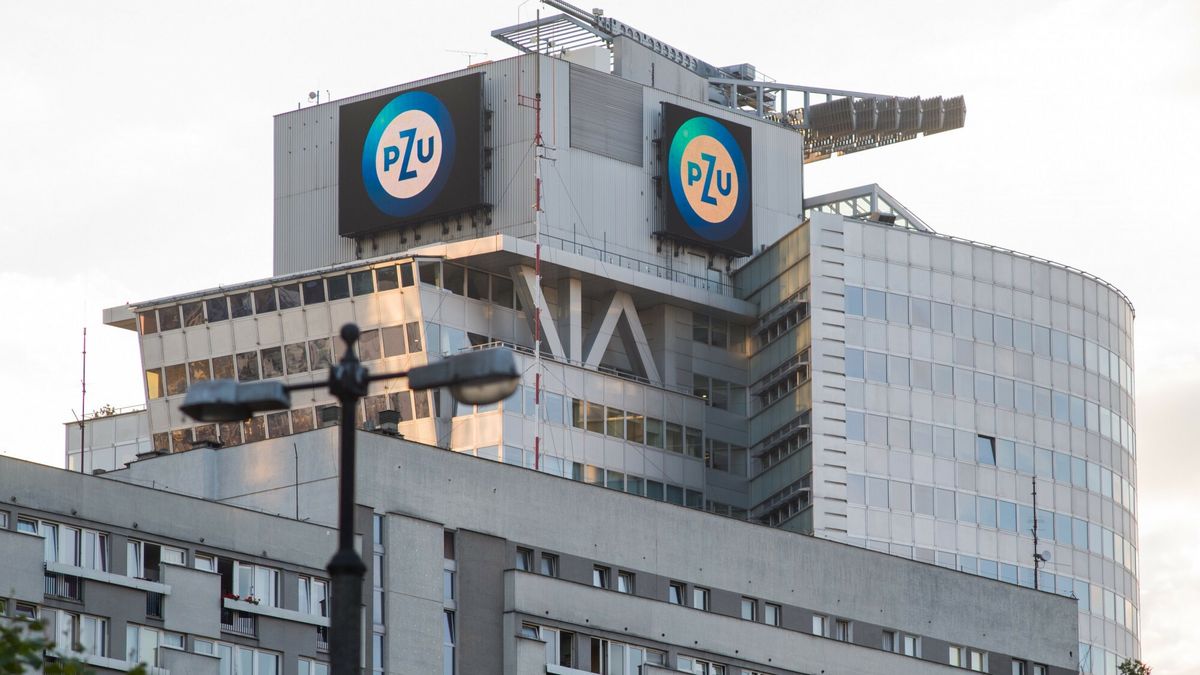 pzu