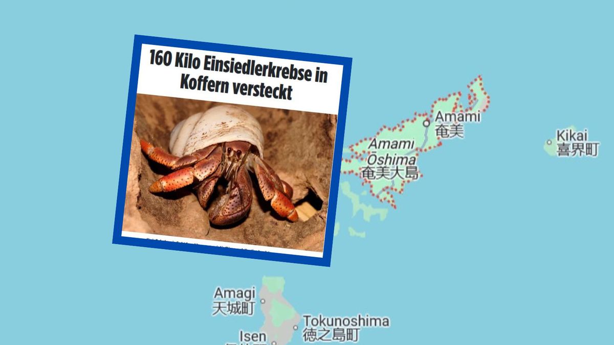 Chińczycy chcieli przemycić kraby