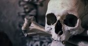 Odkrycie w Chinach może przepisać historię człowieka. Czaszka sprzed miliona lat burzy dotychczasowe teorie