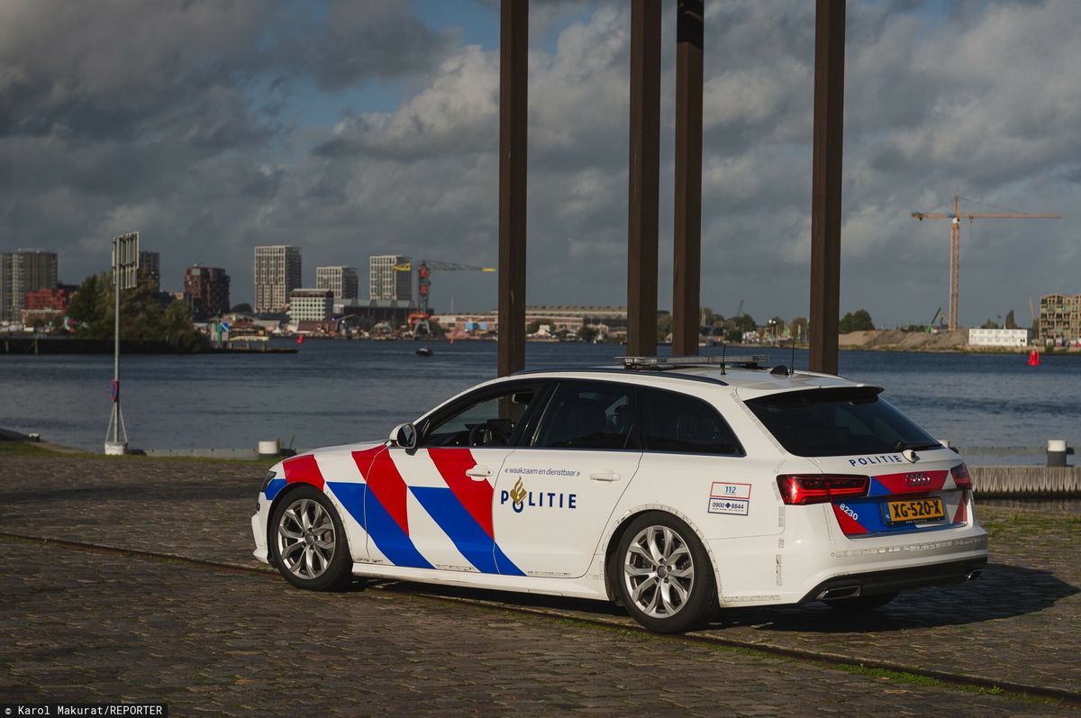Holenderska policja w akcji