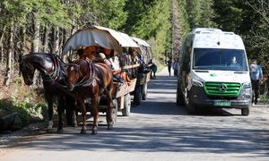 "Elektryki" na Morskie Oko kończą kursowanie na zimę. Konie zostają