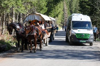 "Elektryki" na Morskie Oko kończą kursowanie na zimę. Konie zostają