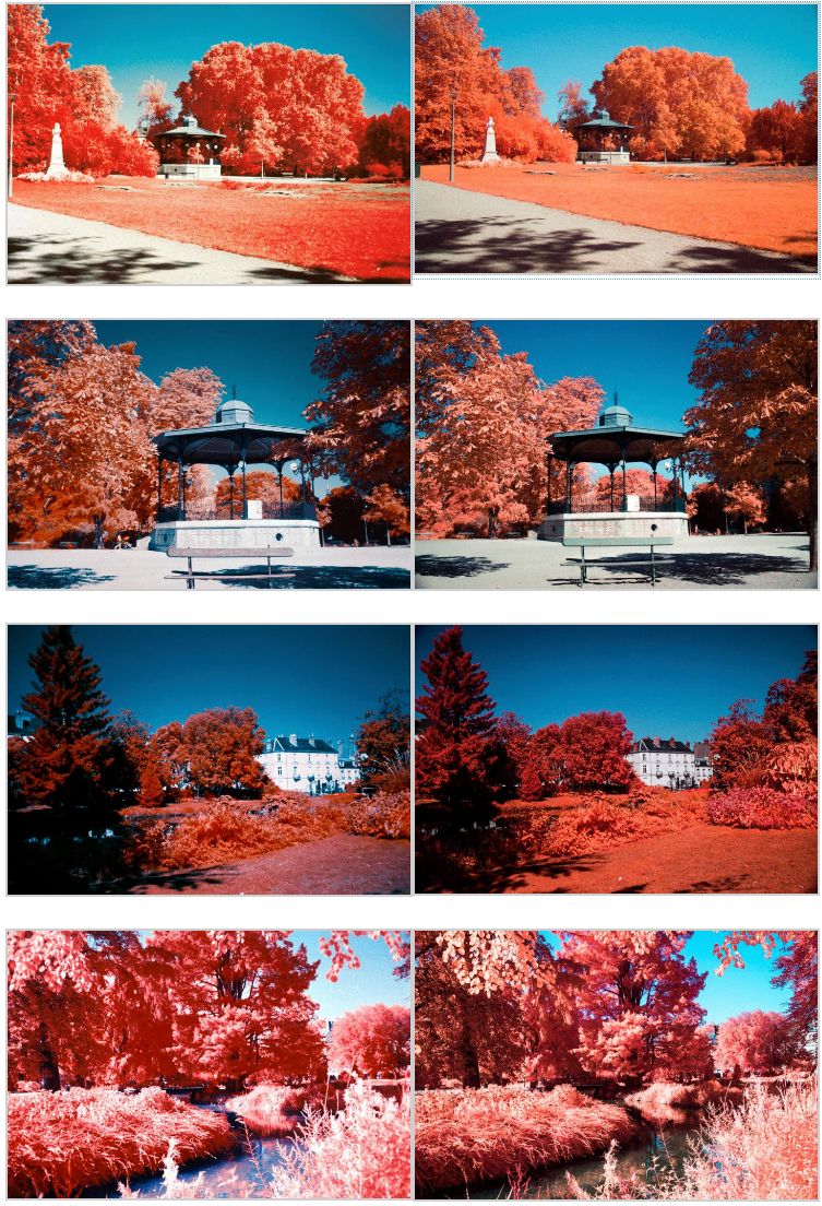 Po lewej stronie są zdjęcia z Kodaka Aerochrome, po prawej z Canona EOS 6D Mark II.