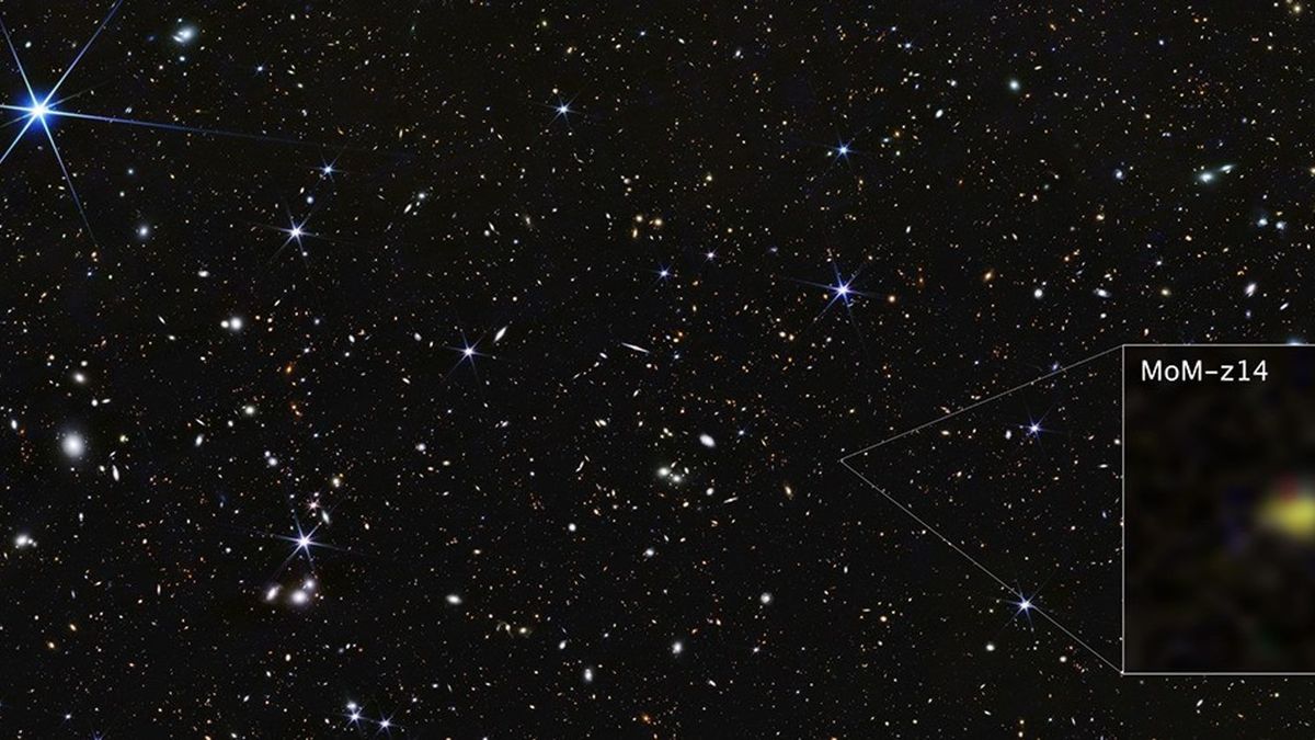 Galaktyka MoM-z14