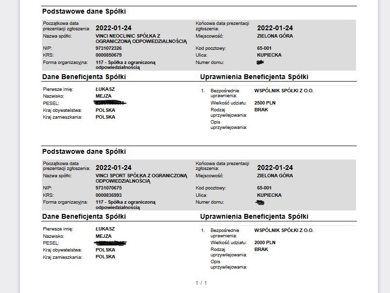 Według aktualnego KRS z 24 stycznia, Mejza ma nadal udziały w dwóch spółkach