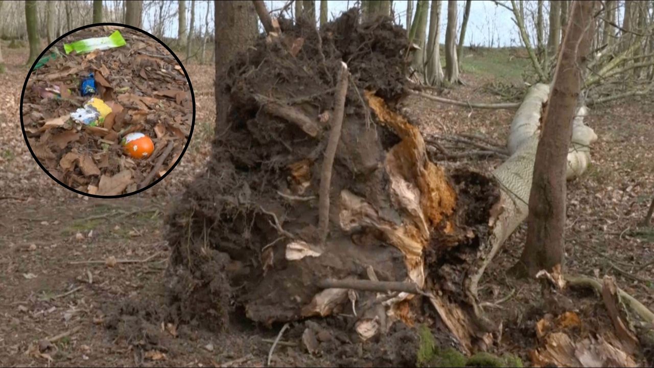 Szukali jajek wielkanocnych, nie żyją. Tragedia w Niemczech