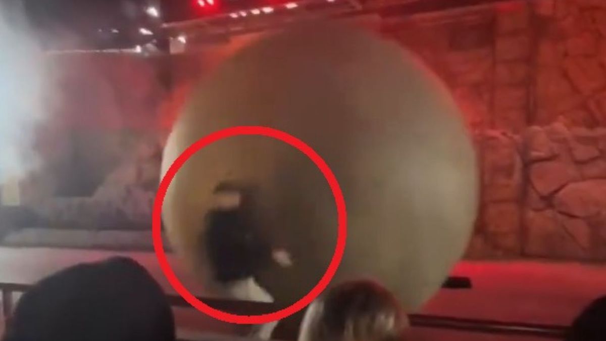 Pracownik Disneya uderzony kulą