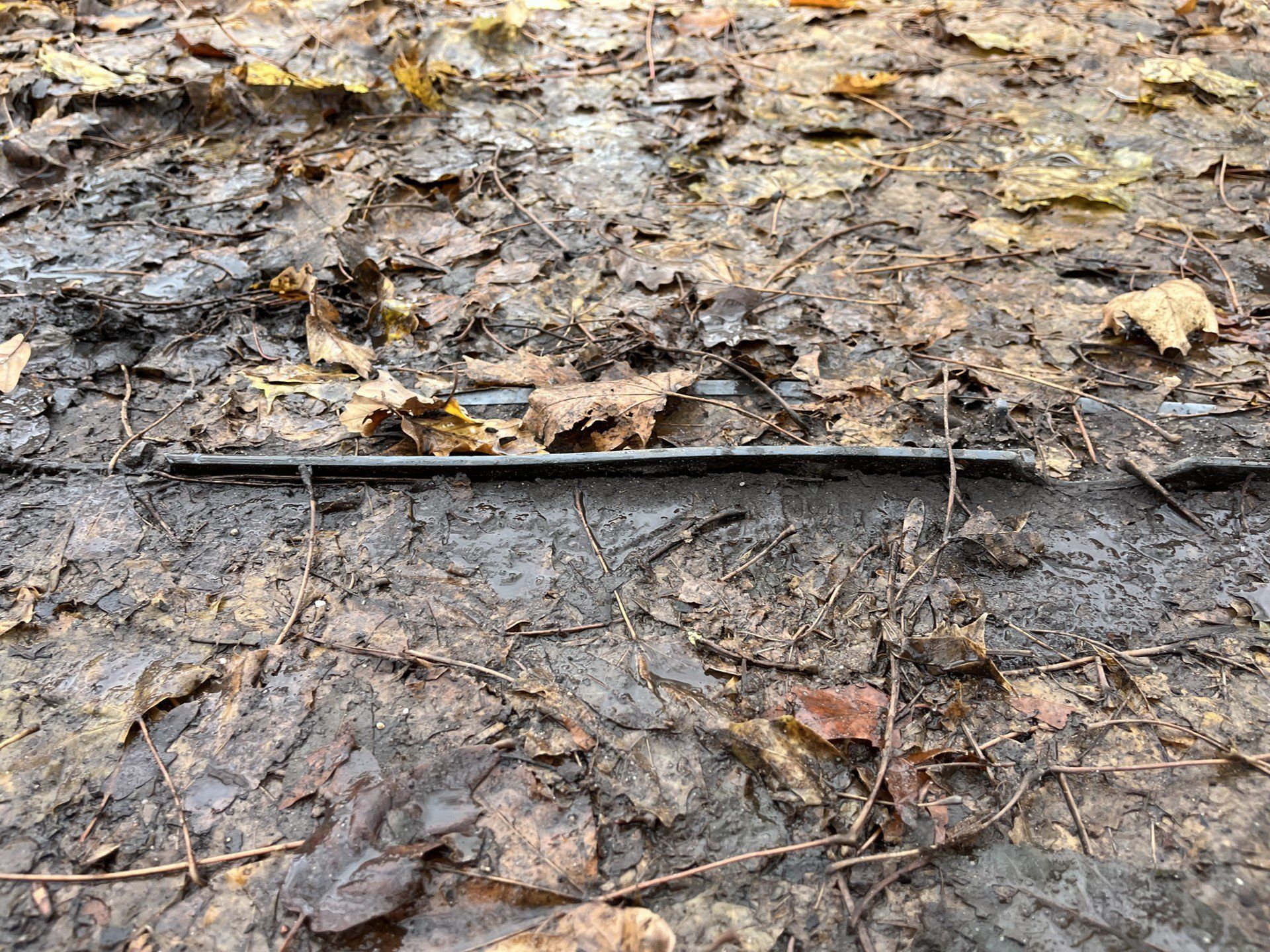 Liście na chodnikach w Łodzi