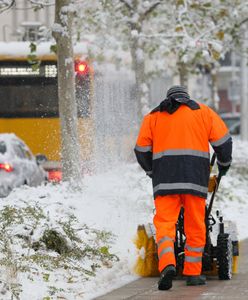 Zimy nie będzie? Długoterminowa prognoza pogody