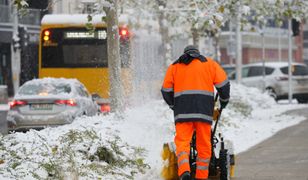 Zimy nie będzie? Długoterminowa prognoza pogody