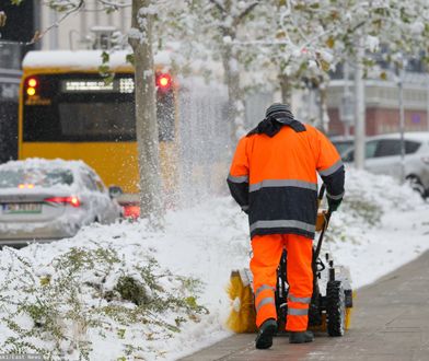 Zimy nie będzie? Długoterminowa prognoza pogody