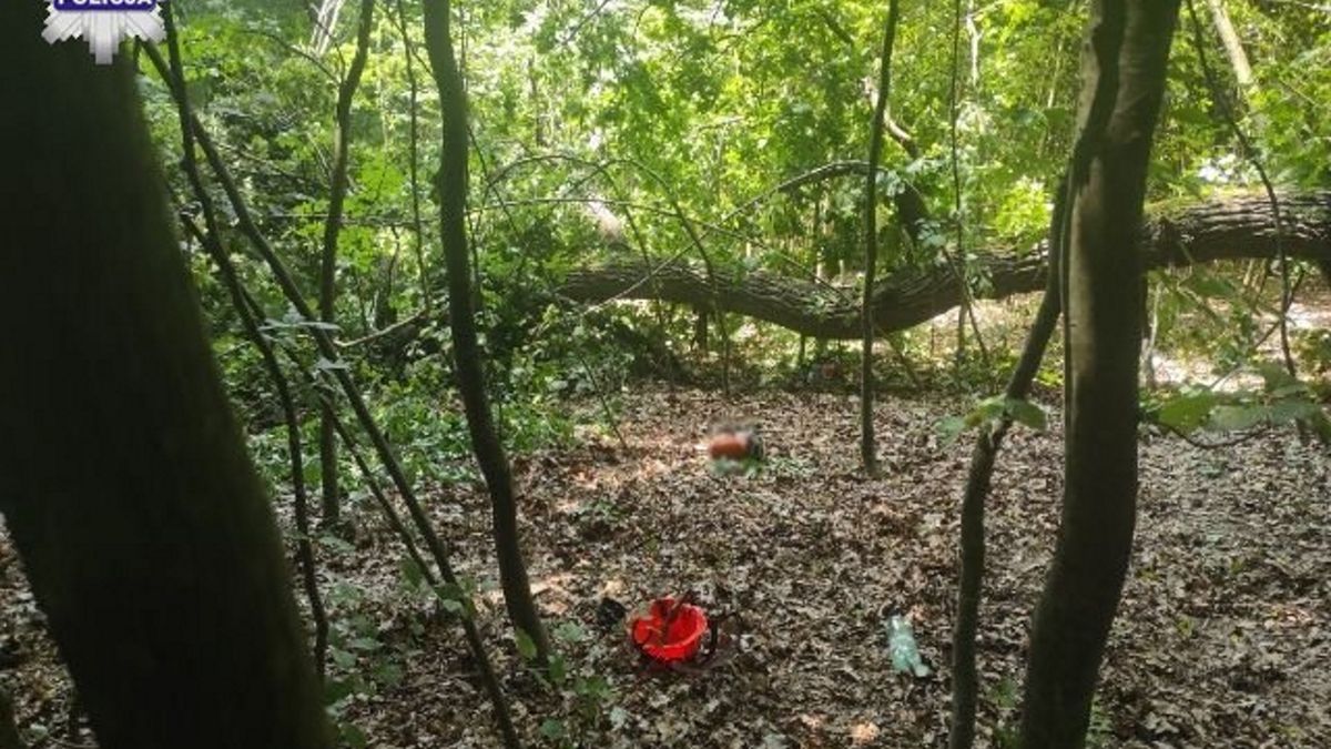 41-latek został przygnieciony przez drzewo, zginął na miejscu.
