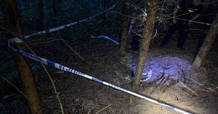 Niezwykłe odkrycie stowarzyszenia z Nietuszkowa. W lesie znaleźli trzy wojenne karabiny