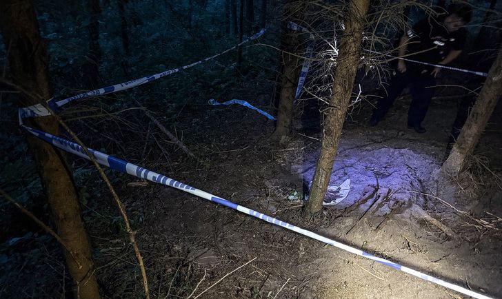 Niezwykłe odkrycie stowarzyszenia z Nietuszkowa. W lesie znaleźli trzy wojenne karabiny