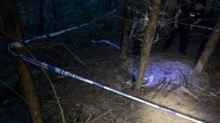 Niezwykłe odkrycie stowarzyszenia z Nietuszkowa. W lesie znaleźli trzy wojenne karabiny