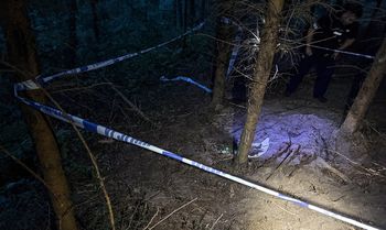 Niezwykłe odkrycie stowarzyszenia z Nietuszkowa. W lesie znaleźli trzy wojenne karabiny