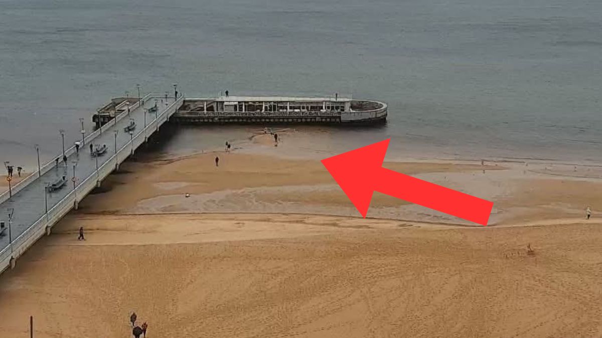 Morze odsłoniło dno w wyniku odpływu.