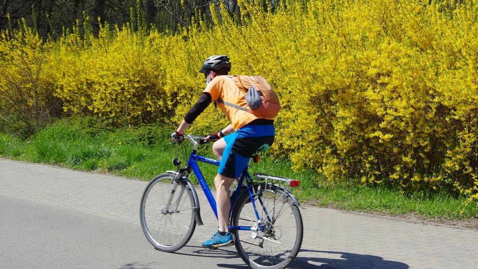 Stock MaBa
Fot. Zofia i Marek Bazak/East News,  Warszawa. Rowerzysta na sciezce rowerowej
ZOFIA BAZAK