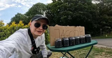 Stanął przy drodze i zaczął sprzedawać jagody. Ile zarobił?
