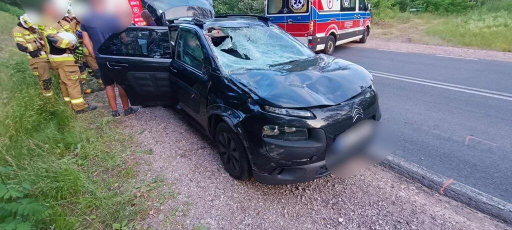 Z impetem wjechał w łosia w miejscowości Słupno. Zwierzę nie przeżyło