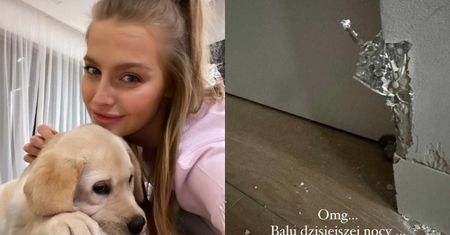 Karolina Pisarek pokazuje ZDEMOLOWANY dom przez czworonożnych przyjaciół i ubolewa: "Nie mam słów" (ZDJĘCIA)