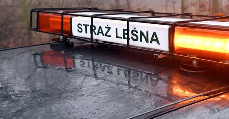 Skarżysko-Kamienna. Postrzelony strażnik. "Broń komendanta"