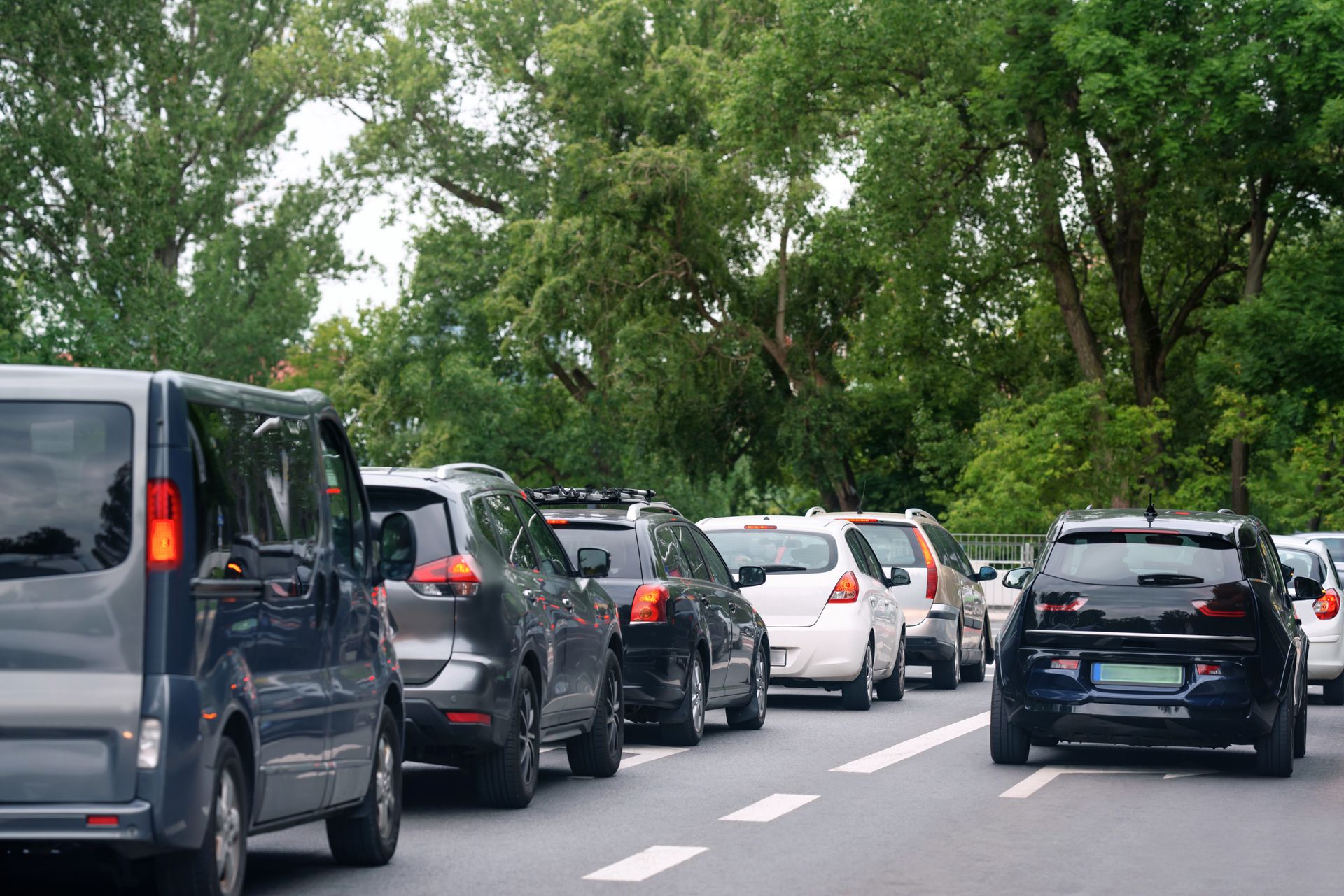 Jesienne porządki na działce. Oto, czego lepiej nie przycinać