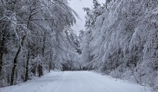 Zakaz w okolicach Nidzicy. Nie można wchodzić do lasu