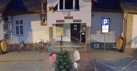Złapane na gorącym uczynku. Wszystko zarejestrowały kamery monitoringu