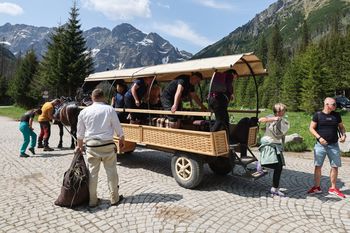 Niedźwiedź polował przy szlaku na Morskie Oko. Apel o uwagę
