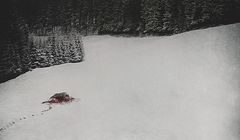 "The Depression Sessions" - nowy album Thy Art Is Murder. Promuje go "They Will Know Another"