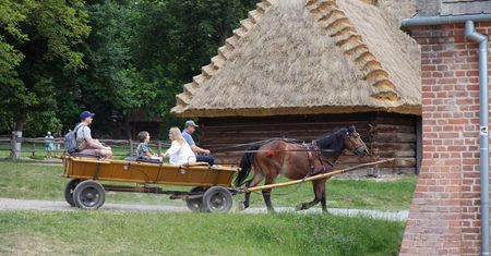Zaplanuj tydzień: pięć dni, kilka muzeów w Lublinie. Nie musisz wydawać ani złotówki | 21-25 WRZEŚNIA