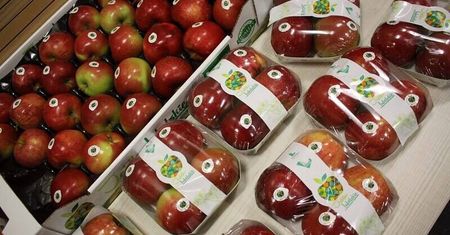 Lubelskie jabłka ruszają na podbój Polski. Trafią do sklepów Stokrotka i E.Leclerc