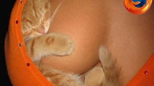 6 dodatków do Firefoxa, które usprawnią zarządzanie kartami 1