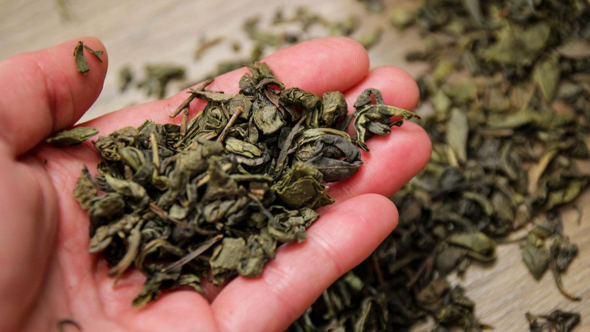 Kawa i herbata mają wpływ na kości