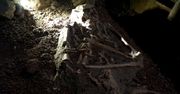 Zmiany klimatu mogły spowodować wyginięcie prehistorycznych gatunków człowieka