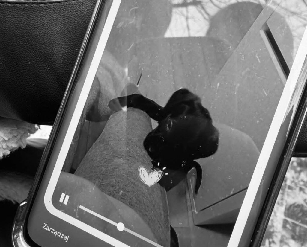 Sobolewo: Ola przyszła odzyskać swojego skradzionego psa z posesji. Zwierzęcia już tam nie było