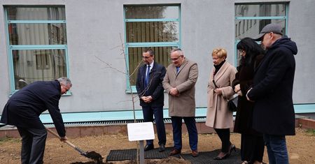 Lubelski ZUS świętuje 90-lecie. Symboliczne drzewo posadzone na terenie oddziału