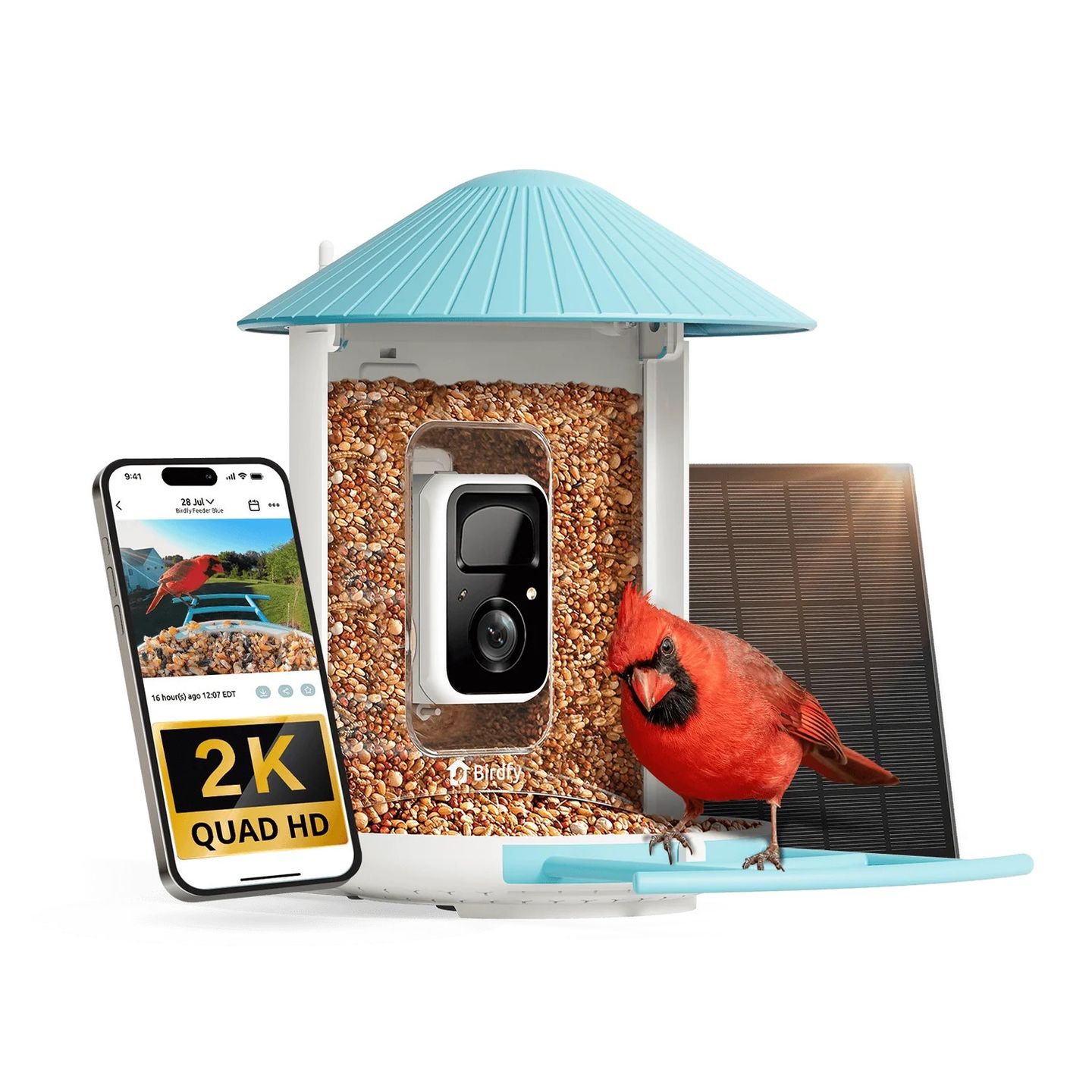Birdfy Feeder jest dostępny w wersji z panelem słonecznym