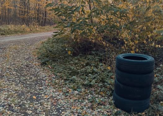 Czarne wieże z opon w gostynińskich lasach. Nadleśnictwo apeluje do mieszkańców