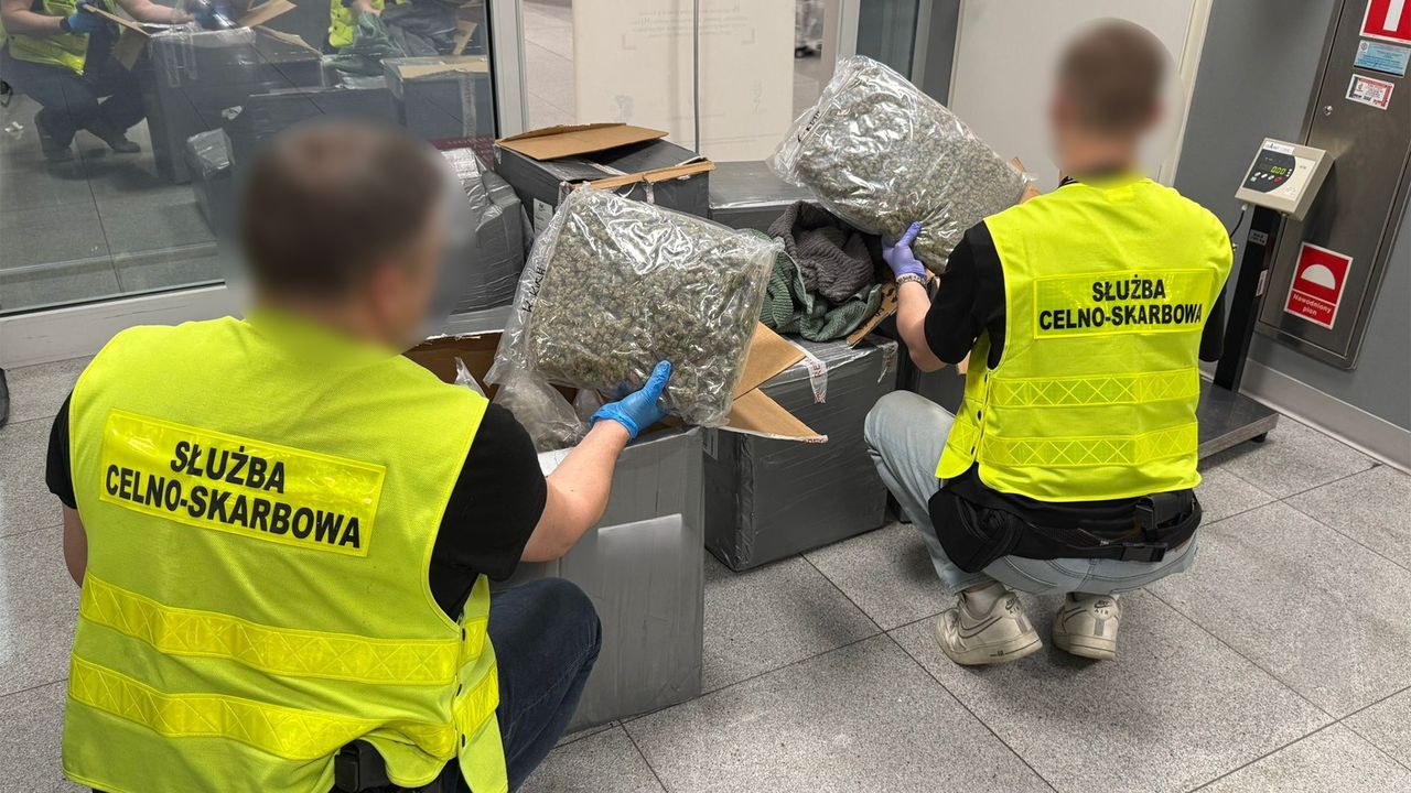 Ubrania, które pachniały przestępstwem. Ponad 50 kg narkotyków w paczkach z Kanady