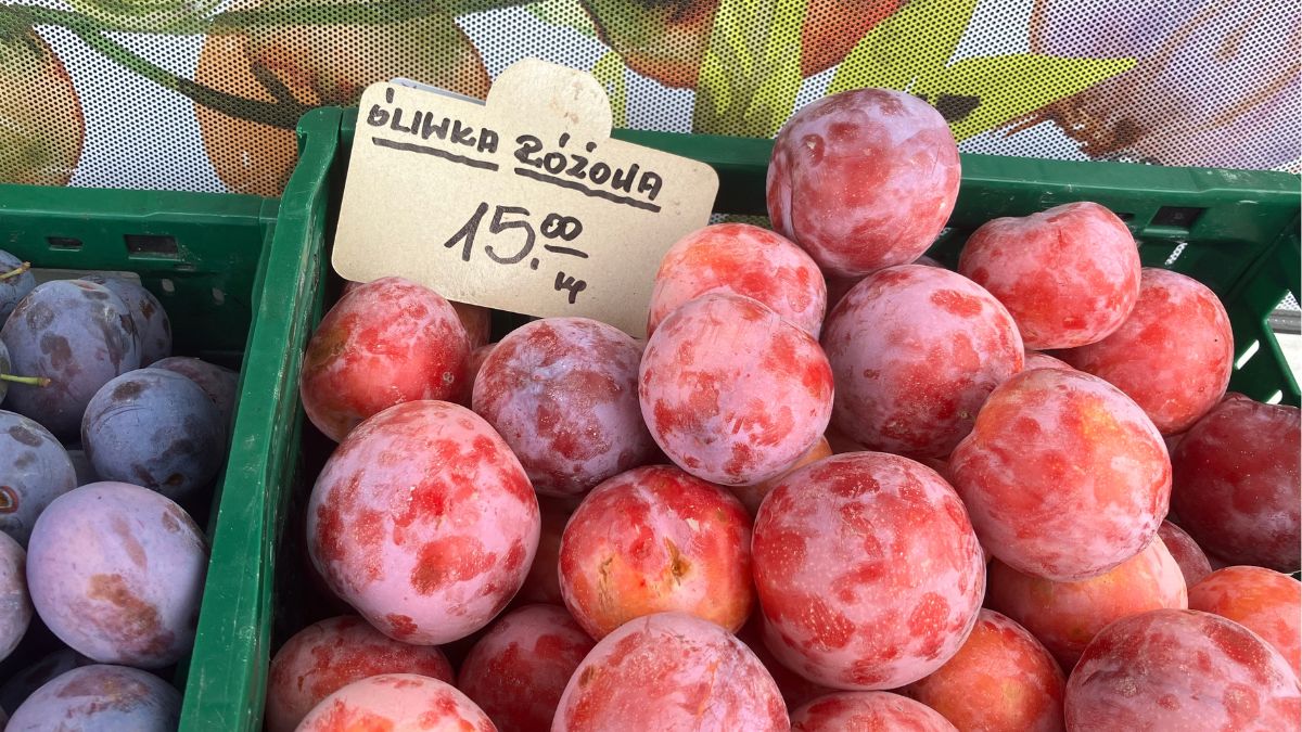 Różowe śliwki nawet po 15 złotych za kilogram