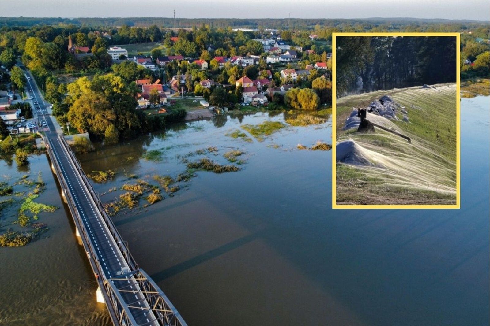 To nie fotomontaż. Pojawiły się na wale przeciwpowodziowym