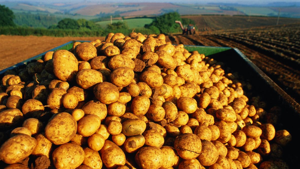 36-letni Polak wpadł w Niemczech.