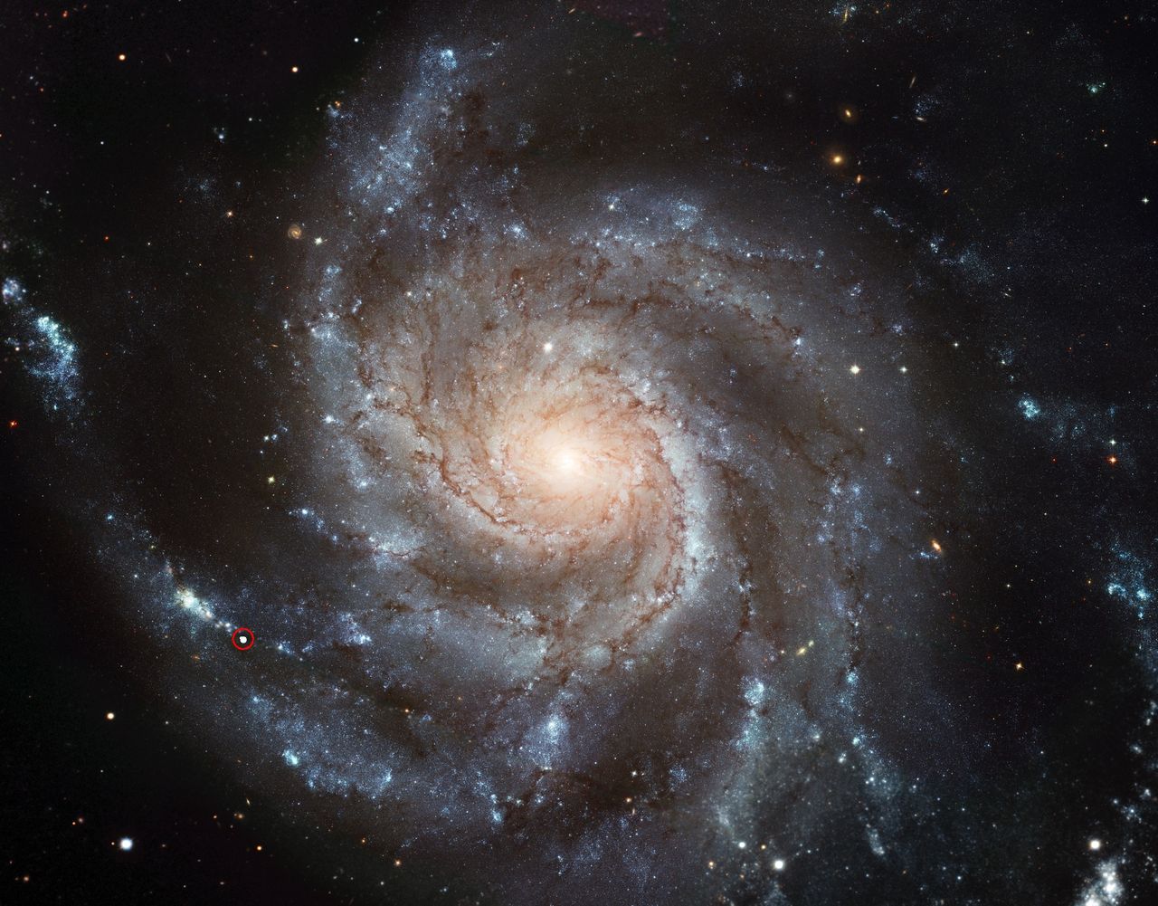 Galaktyka Wiatraczek z wizualizacją supernowej i jej pozycji Messier 101, Pinwheel Galaxy