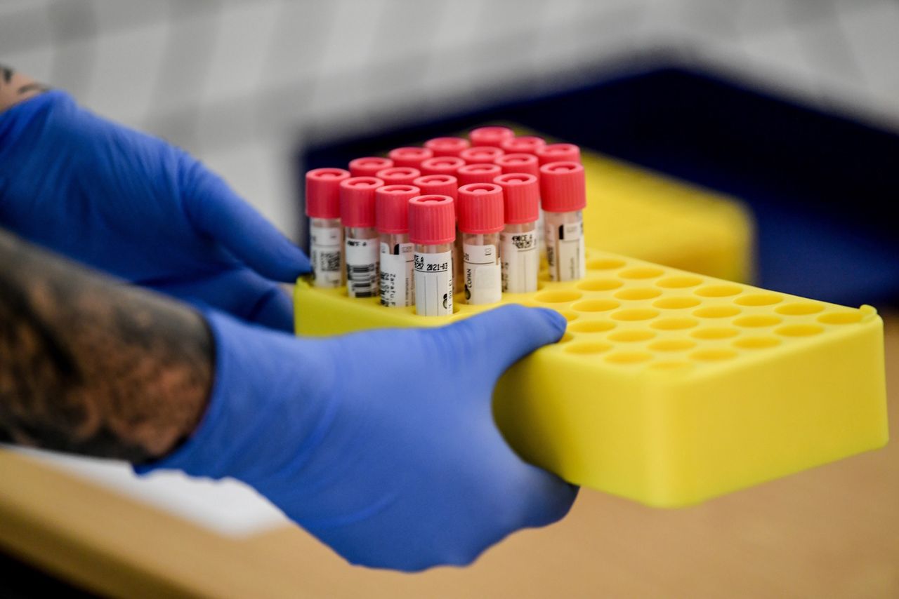 Koronawirus. Niemcy wyznaczają datę rozpoczęcia szczepień na COVID-19