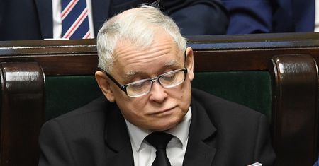 Kaczyński opowiedział o kotach. "Tłuką się po pyskach regularnie"