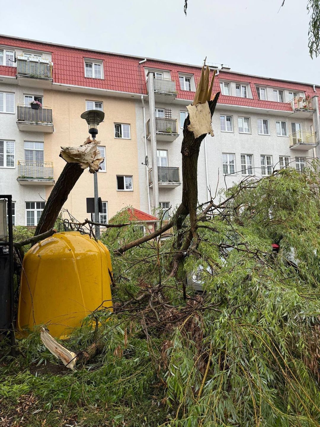 Strażacy z regionu od rana odnotowali kilka interwencji, związanych z frontem atmosferycznym. W Grudziądzu złamany konar drzewa uszkodził kilka zaparkowanych pojazdów